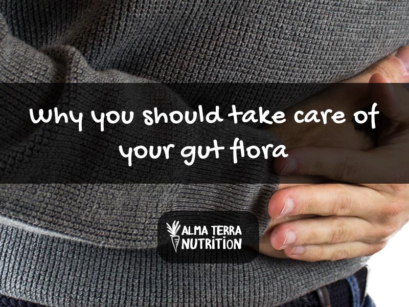 Why You Should Take Care of Your Gut Flora | The Benefits of Probiotics
