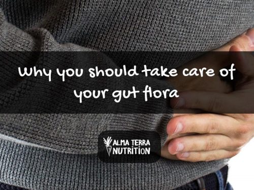 Why Take Care of Gut Flora