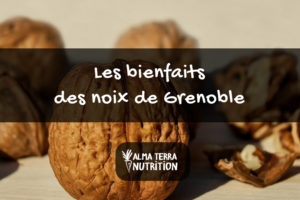 Noix de Grenoble Conseillées par Nutritionniste