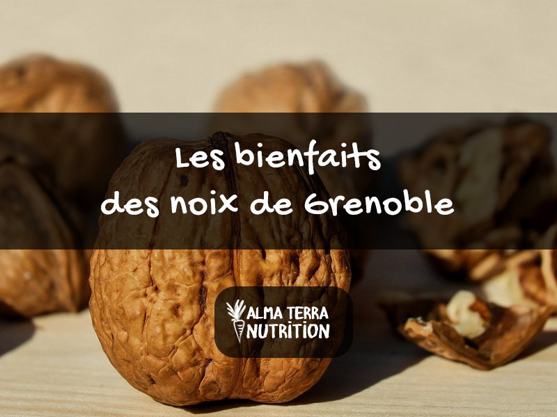 Noix de Grenoble Conseillées par Nutritionniste